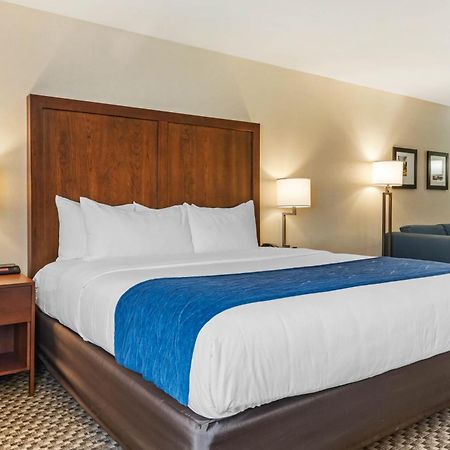 Comfort Inn & Suites Near Route 66 Lincoln Rom bilde
