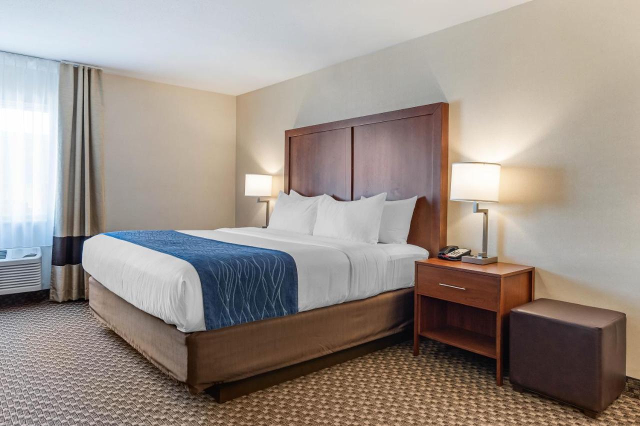 Comfort Inn & Suites Near Route 66 Lincoln Rom bilde