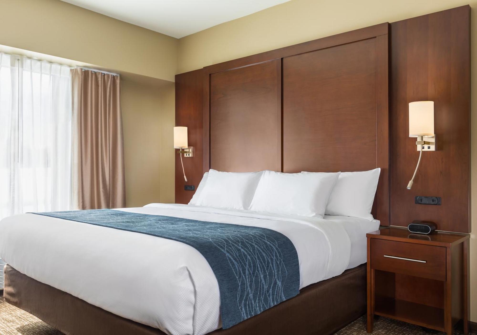 Comfort Inn & Suites Near Route 66 Lincoln Rom bilde